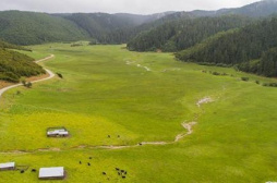 “绿水青山是我们共同的饭碗”——普达措国家公园村民的“生态转身”