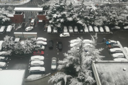 雪落京城