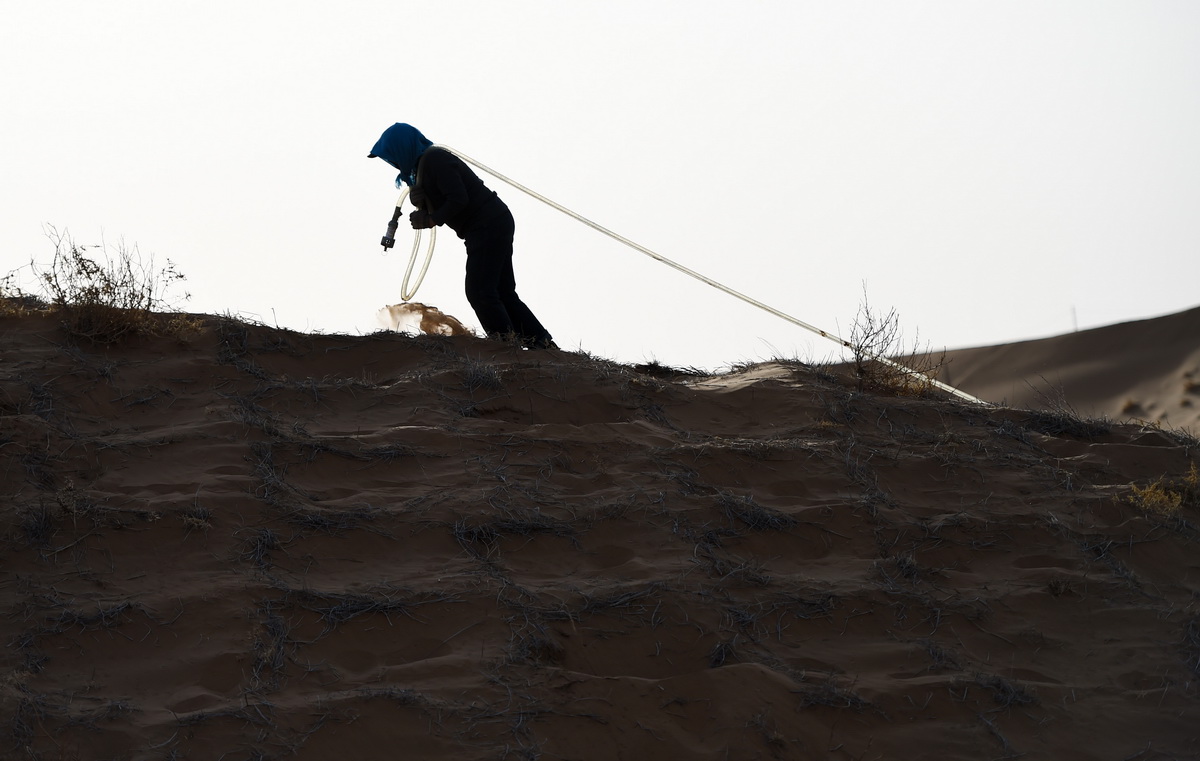 4月2日，在阿拉善左旗腾格里沙漠，工人给刚种下的花棒浇水。