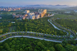 广州市白云区全力推进农村公路路网提质优化