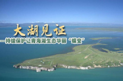 大湖见证——持续保护让青海湖生态华丽“蝶变”