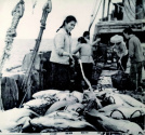 63年前，一群漁家妹沖破禁忌闖出北部灣傳奇