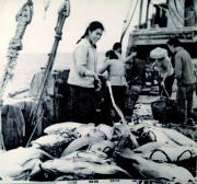 63年前，一群漁家妹沖破禁忌闖出北部灣傳奇