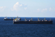 黑海运粮船恢复登船检查 运粮协议谈判仍需时间