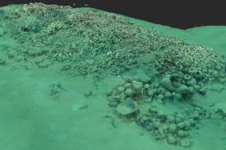 見證海上往來 填補考古空白——南海西北陸坡沉船遺址等水下考古項目重要成果掃描