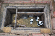 重庆发现明确纪年西汉早期墓葬 出土遗物600余件